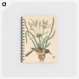 2-14_Mark-Catesby_memo
