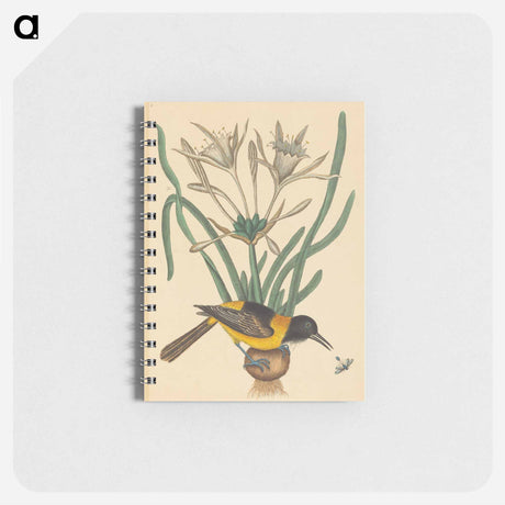 アートメモ帳-The Yellow and Black Pye
 - マーク ケイツビー Memo.