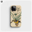 2-14_Mark-Catesby_phone