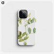 2-14_Mary-Vaux-Walcott_phone