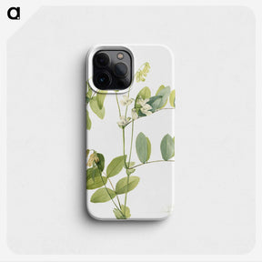 2-14_Mary-Vaux-Walcott_phone