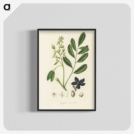 2-14_Medical-Botany_blk-crop