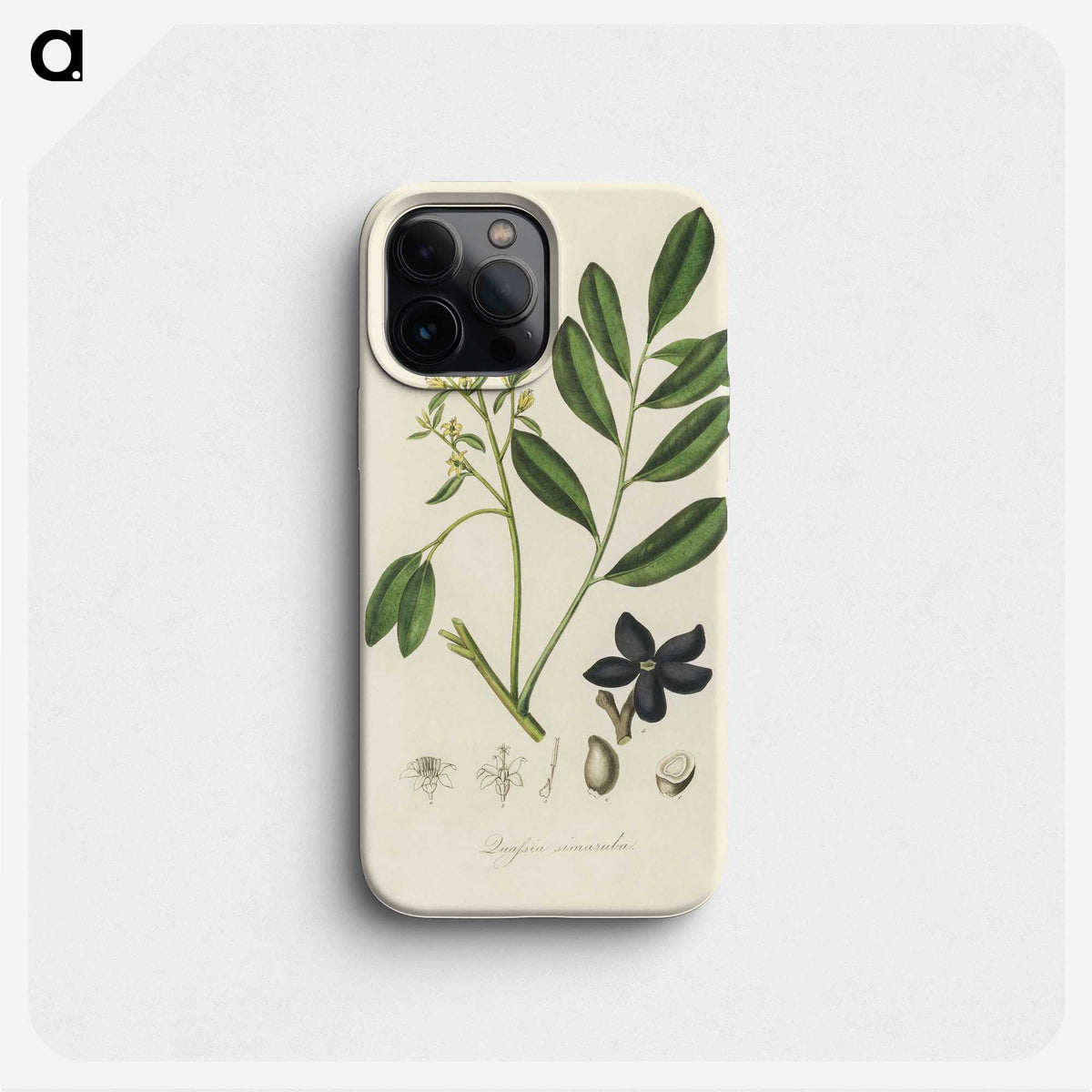2-14_Medical-Botany_phone