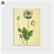 アートポストカード-Papaver nigrum
 - 国立医学図書館 Postcard.