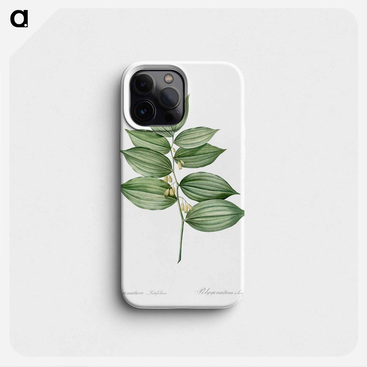 King Solomon's seal - Pierre Joseph Redouté Phone Case.