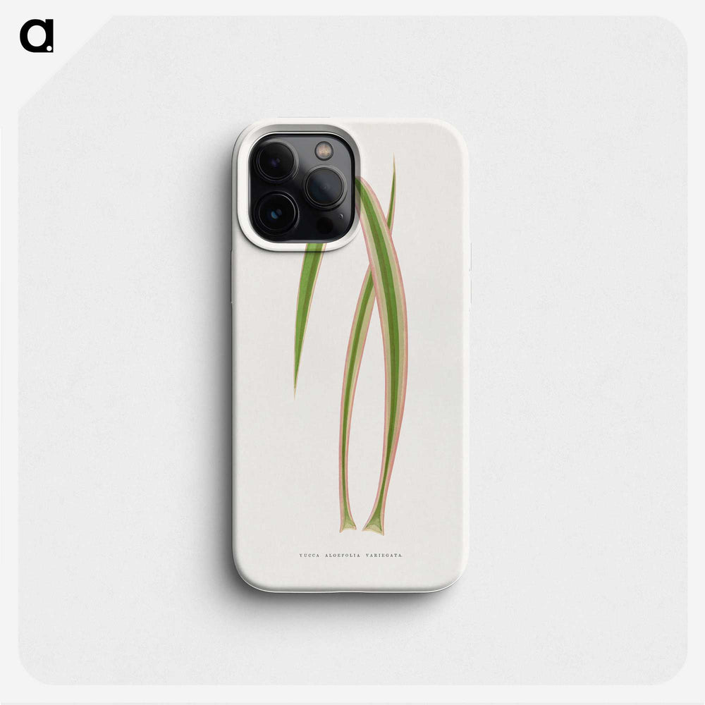 2-14_Plants-with-Colored-Foliage_phone
