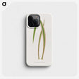 2-14_Plants-with-Colored-Foliage_phone