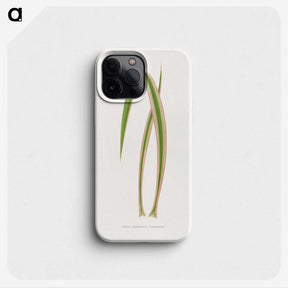 2-14_Plants-with-Colored-Foliage_phone