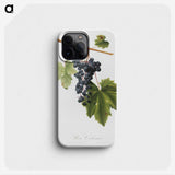 2-14_Pomona-Italiana_phone