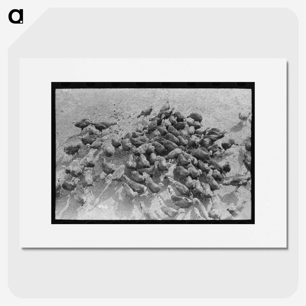 2-14_Russell-Lee_picture