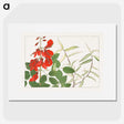2-14_Seiyo-Soka-Zufu_picture