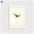 アートポストカード-Common Whitethroat
 - スヴェンスカ フォグラル Postcard.