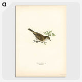 2-14_Svenska-Faglar_picture-crop