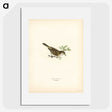 2-14_Svenska-Faglar_picture