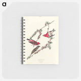 アートメモ帳-Purple Finch from Birds of America
 - アメリカの鳥たち Memo.