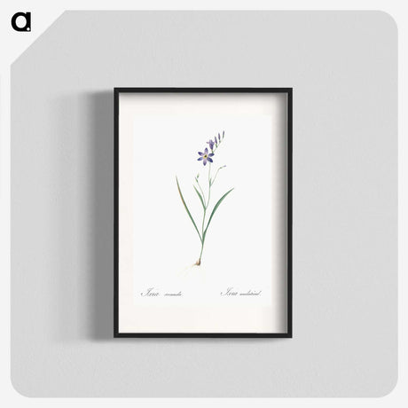 2-14_The-Lilies_blk