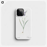 2-14_The-Lilies_phone