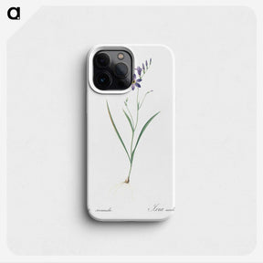 2-14_The-Lilies_phone