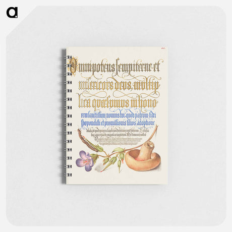 アートメモ帳-Centipede, Wood Cranesbill, and Mushroom from Mira Calligraphiae Monumenta
 - 書道のお手本 Memo.