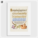 アートポスター-Centipede, Wood Cranesbill, and Mushroom from Mira Calligraphiae Monumenta
 - 書道のお手本 Poster.