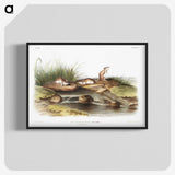 2-14_The-Viviparous-Quadrupeds_blk-crop