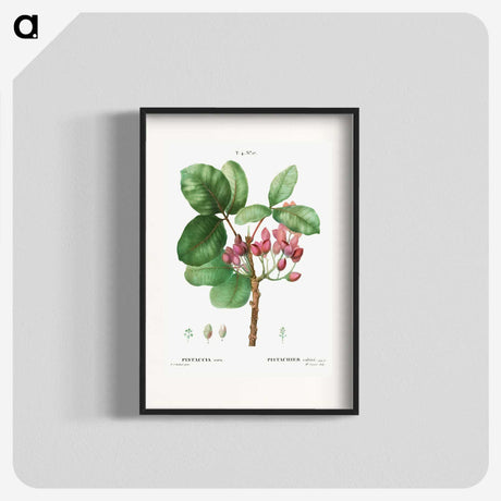 2-14_Treatise-on-Trees-and-Shrubs_blk
