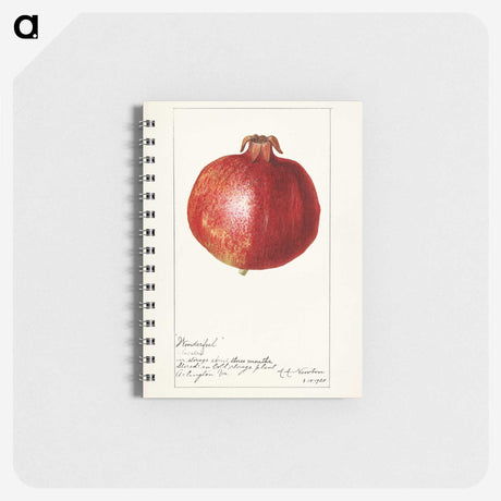 2-14_USDA-Watercolor-Fruit-Painting-Collection_memo
