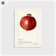 2-14_USDA-Watercolor-Fruit-Painting-Collection_postcard
