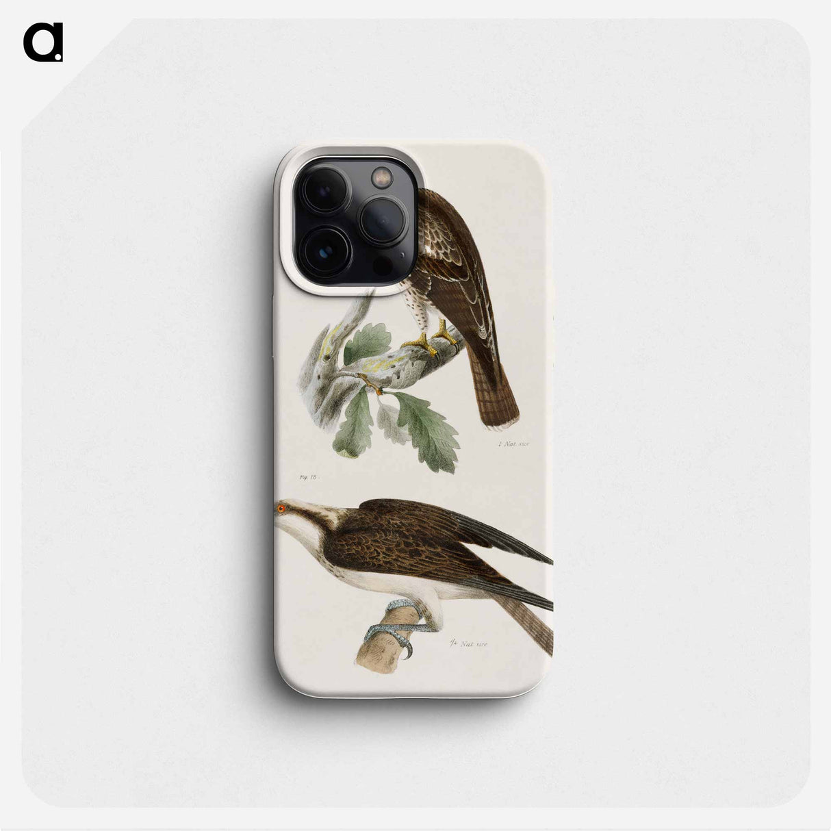 The Red-tailed Buzzard - ニューヨークの動物学 Phone Case.