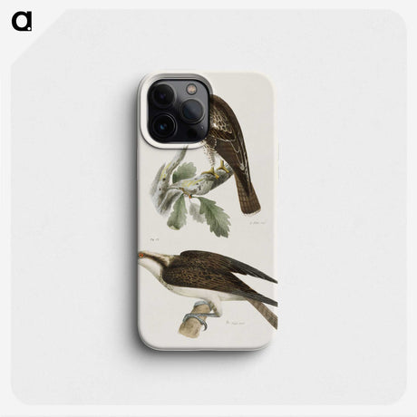 2-14_Zoology-of-New-York_phone