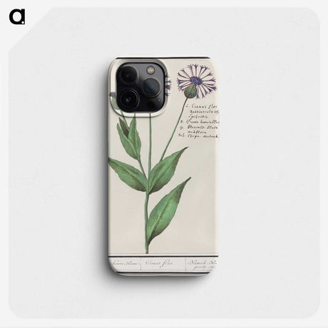 2-15_Anselmus-Boetius-de-Boodt_phone
