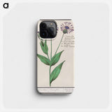 Large centaury, Centaurea scabiosa - アンセルムス ボエティウス デ ブート Phone Case.