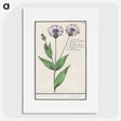 2-15_Anselmus-Boetius-de-Boodt_picture