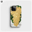 2-15_Botanical-Specimen-Plates_phone