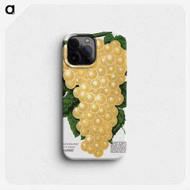 2-15_Botanical-Specimen-Plates_phone