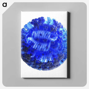 2-15_COVID-19_canvas