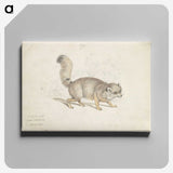 2-15_Charles-Hamilton-Smith_canvas