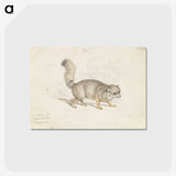 2-15_Charles-Hamilton-Smith_postcard