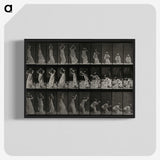 2-15_Eadweard-Muybridge_blk-crop