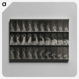 2-15_Eadweard-Muybridge_canvas