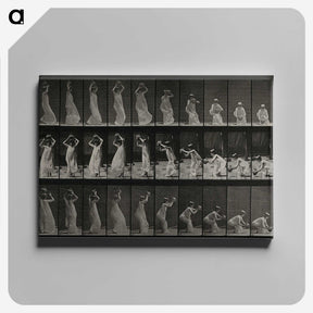 2-15_Eadweard-Muybridge_canvas
