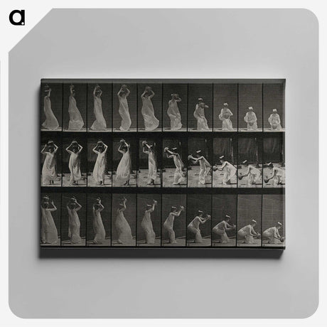 2-15_Eadweard-Muybridge_canvas