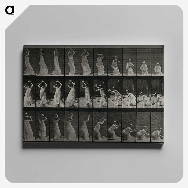 2-15_Eadweard-Muybridge_canvas
