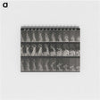 2-15_Eadweard-Muybridge_memo