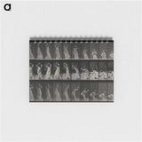 2-15_Eadweard-Muybridge_memo