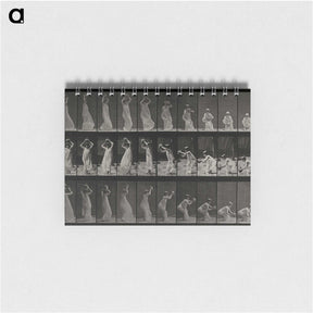 2-15_Eadweard-Muybridge_memo
