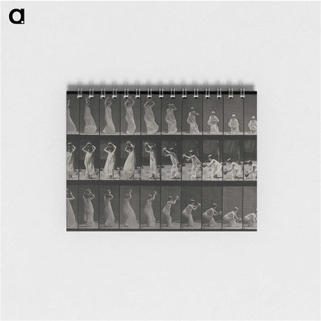2-15_Eadweard-Muybridge_memo
