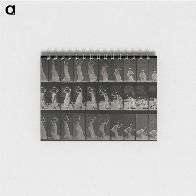 2-15_Eadweard-Muybridge_memo