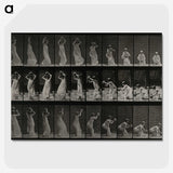2-15_Eadweard-Muybridge_picture-crop
