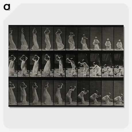 2-15_Eadweard-Muybridge_picture-crop